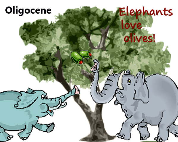 Oligocene mnemonic image